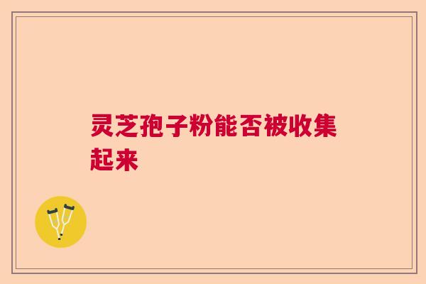 灵芝孢子粉能否被收集起来  第1张