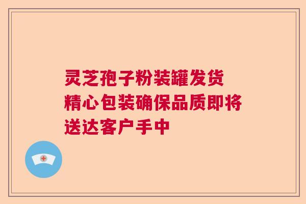 灵芝孢子粉装罐发货 精心包装确保品质即将送达客户手中  第1张