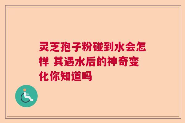 灵芝孢子粉碰到水会怎样 其遇水后的神奇变化你知道吗  第1张