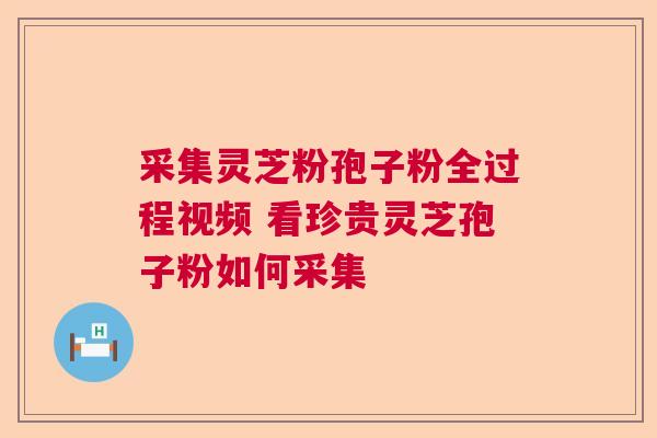 采集灵芝粉孢子粉全过程视频 看珍贵灵芝孢子粉如何采集  第1张