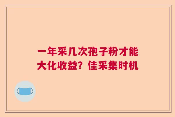 一年采几次孢子粉才能大化收益？佳采集时机  第1张