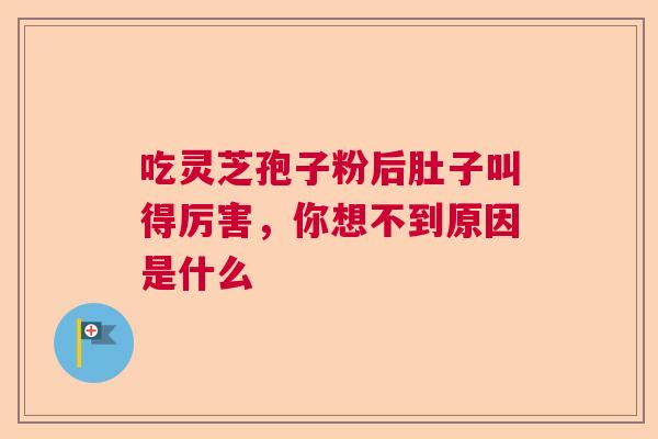 吃灵芝孢子粉后肚子叫得厉害，你想不到原因是什么  第1张