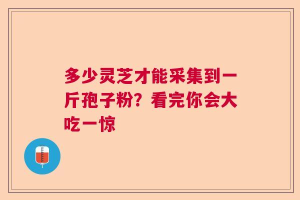 多少灵芝才能采集到一斤孢子粉？看完你会大吃一惊  第1张