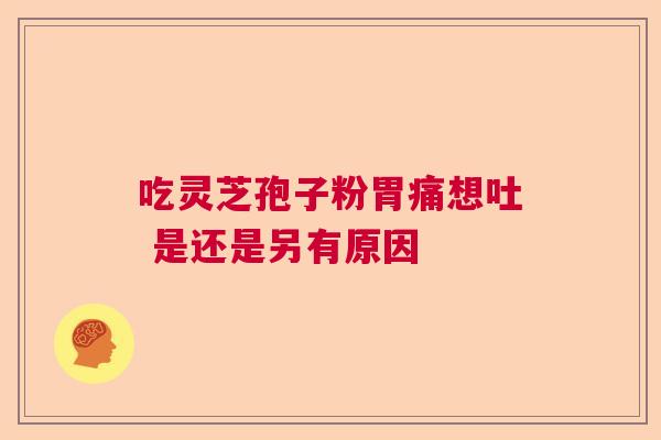 吃灵芝孢子粉胃痛想吐 是还是另有原因  第1张