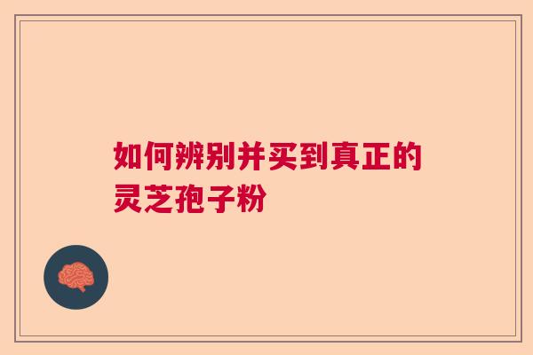 如何辨别并买到真正的灵芝孢子粉  第1张