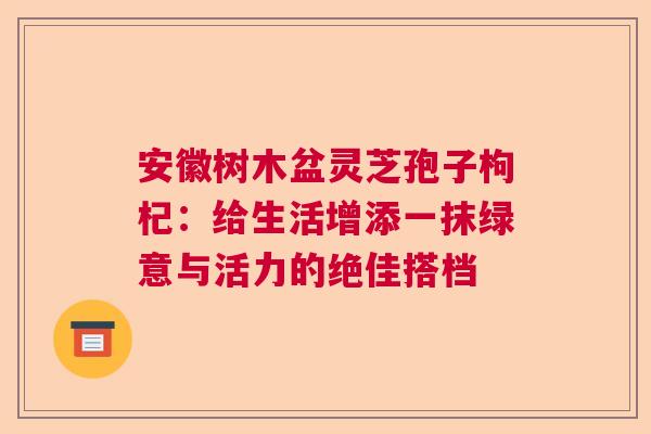 安徽树木盆灵芝孢子枸杞：给生活增添一抹绿意与活力的绝佳搭档  第1张