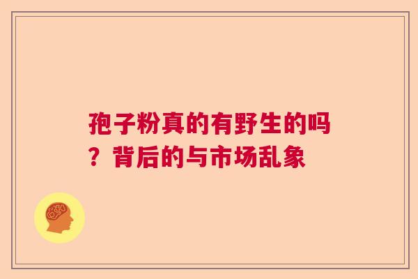 孢子粉真的有野生的吗？背后的与市场乱象  第1张