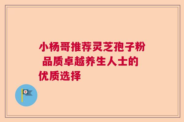 小杨哥推荐灵芝孢子粉 品质卓越养生人士的优质选择  第1张