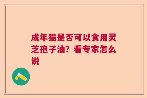 成年猫是否可以食用灵芝孢子油？看专家怎么说  第1张