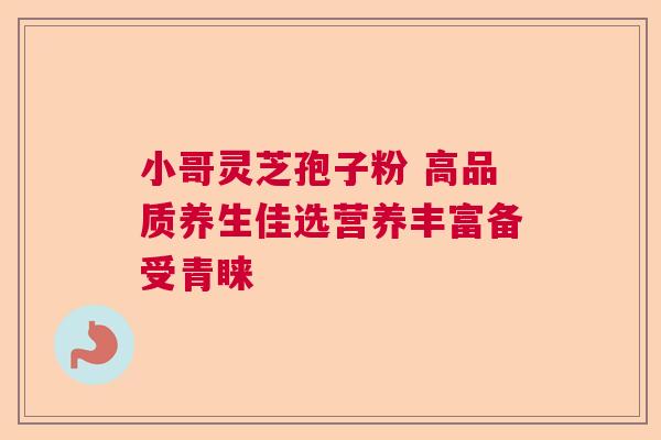 小哥灵芝孢子粉 高品质养生佳选营养丰富备受青睐  第1张