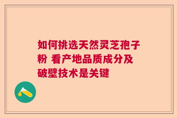如何挑选天然灵芝孢子粉 看产地品质成分及破壁技术是关键  第1张