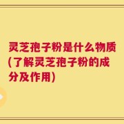 灵芝孢子粉是什么物质(了解灵芝孢子粉的成分及作用)