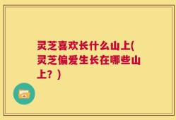灵芝喜欢长什么山上(灵芝偏爱生长在哪些山上？)