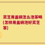 灵芝用盖碗怎么泡茶喝(怎样用盖碗泡好灵芝茶)