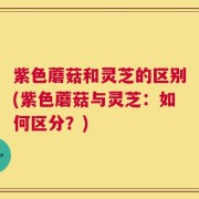 紫色蘑菇和灵芝的区别(紫色蘑菇与灵芝：如何区分？)