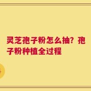 灵芝孢子粉怎么抽？孢子粉种植全过程