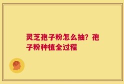 灵芝孢子粉怎么抽？孢子粉种植全过程