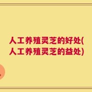 人工养殖灵芝的好处(人工养殖灵芝的益处)