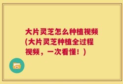 大片灵芝怎么种植视频(大片灵芝种植全过程视频，一次看懂！)