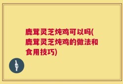 鹿茸灵芝炖鸡可以吗(鹿茸灵芝炖鸡的做法和食用技巧)