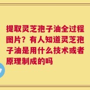 提取灵芝孢子油全过程图片？有人知道灵芝孢子油是用什么技术或者原理制成的吗