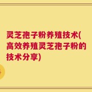 灵芝孢子粉养殖技术(高效养殖灵芝孢子粉的技术分享)