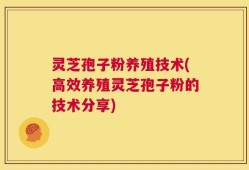 灵芝孢子粉养殖技术(高效养殖灵芝孢子粉的技术分享)