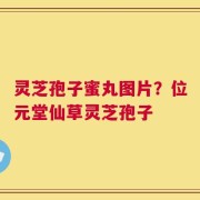 灵芝孢子蜜丸图片？位元堂仙草灵芝孢子