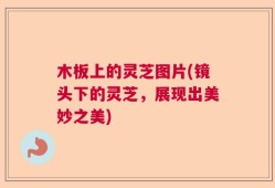木板上的灵芝图片(镜头下的灵芝，展现出美妙之美)