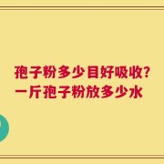 孢子粉多少目好吸收？一斤孢子粉放多少水
