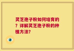 灵芝孢子粉如何培育的？详解灵芝孢子粉的种植方法？