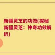 新疆灵芝的功效(探秘新疆灵芝：神奇功效解析)