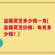 盆栽灵芝多少钱一克(盆栽灵芝价格：每克多少钱？)
