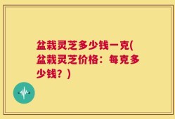 盆栽灵芝多少钱一克(盆栽灵芝价格：每克多少钱？)