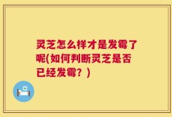 灵芝怎么样才是发霉了呢(如何判断灵芝是否已经发霉？)