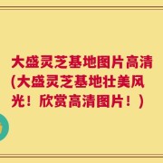 大盛灵芝基地图片高清(大盛灵芝基地壮美风光！欣赏高清图片！)