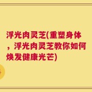 浮光肉灵芝(重塑身体，浮光肉灵芝教你如何焕发健康光芒)
