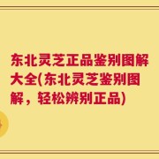 东北灵芝正品鉴别图解大全(东北灵芝鉴别图解，轻松辨别正品)