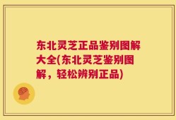 东北灵芝正品鉴别图解大全(东北灵芝鉴别图解，轻松辨别正品)