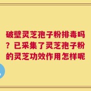 破壁灵芝孢子粉排毒吗？已采集了灵芝孢子粉的灵芝功效作用怎样呢