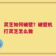 灵芝如何破壁？破壁机打灵芝怎么做