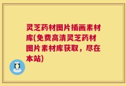 灵芝药材图片插画素材库(免费高清灵芝药材图片素材库获取，尽在本站)