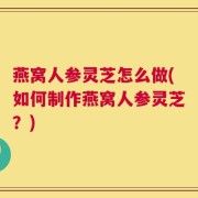 燕窝人参灵芝怎么做(如何制作燕窝人参灵芝？)