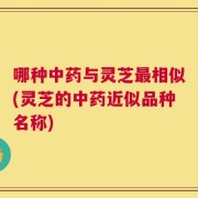 哪种中药与灵芝最相似(灵芝的中药近似品种名称)