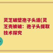 灵芝破壁孢子头道(灵芝壳被破：孢子头提取技术探究