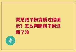 灵芝孢子粉变质过程图示？怎么判断孢子粉过期了没