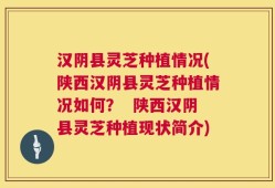 汉阴县灵芝种植情况(陕西汉阴县灵芝种植情况如何？  陕西汉阴县灵芝种植现状简介)