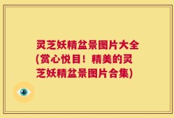 灵芝妖精盆景图片大全(赏心悦目！精美的灵芝妖精盆景图片合集)