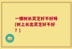 一棵树长灵芝好不好呀(树上长出灵芝好不好？)