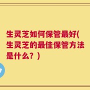 生灵芝如何保管最好(生灵芝的最佳保管方法是什么？)